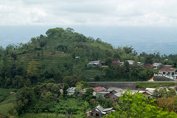 istock Landscape with  plantations in Highlands, central of java. 626160382