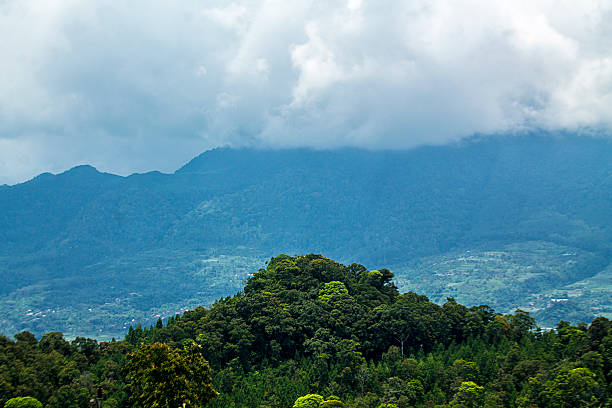 istock Landscape with  plantations in Highlands, central of java. 626171912