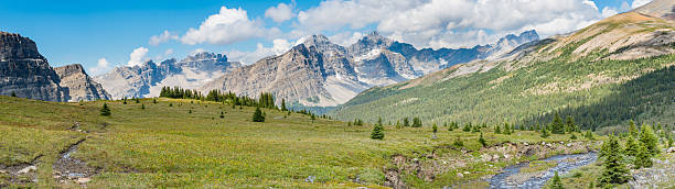istock Scenic summer in the  mountains 626171990