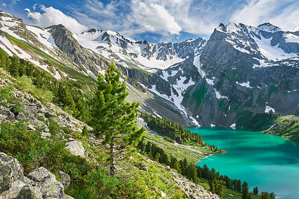 istock Beautiful summer landscape, Altai mountains Russia. 626172178