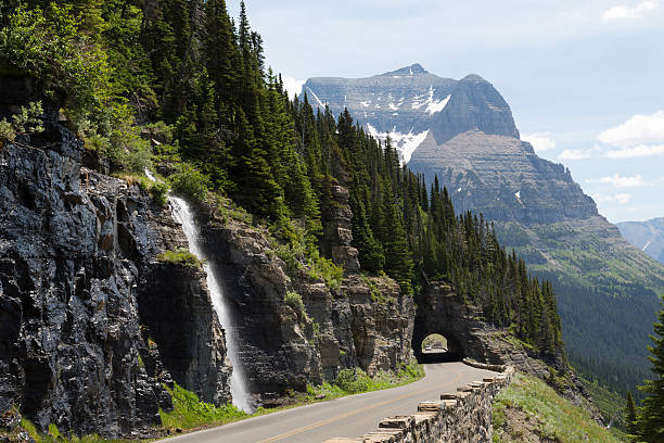 Waterfall and forest along road in Glacier National Park