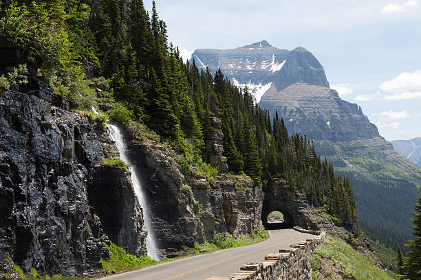wodospad i las wzdłuż drogi w parku narodowym glacier - us glacier national park zdjęcia i obrazy z banku zdjęć