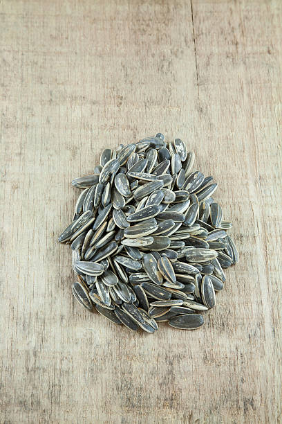 istock Group of sunflower seeds. 626174260