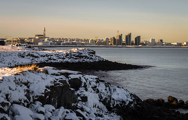 istock Reykjavik panorama on a winter day 626176100