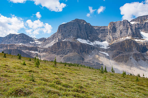 istock Scenic summer in the  mountains 626176462