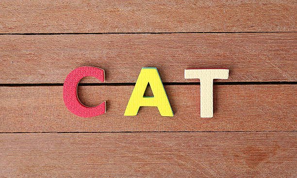 istock Alphabet letters 