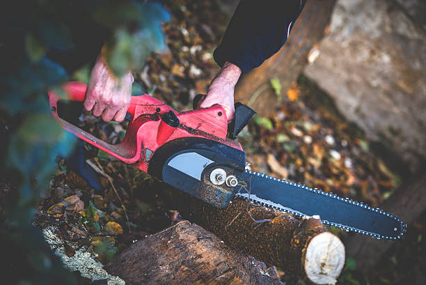 istock man holding chainsaw in the garden 626187692