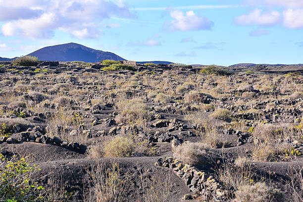istock Landscape in Tropical Volcanic Canary Islands Spain 626188168