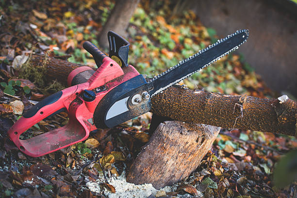 chainsaw in the garden on the block chainsaw in the garden on the block chainsaw lumberjack lumber industry manual worker stock pictures, royalty-free photos & images