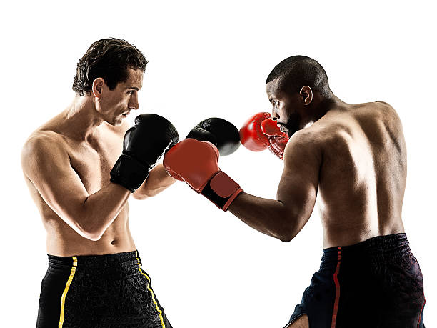 boxer boxing kickboxing muay thai kickboxer men stock photo