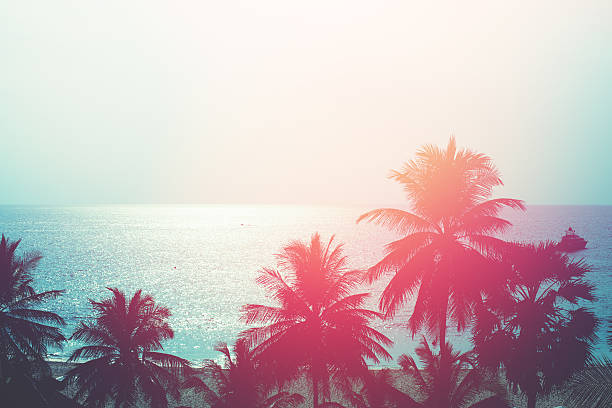 Sunset in tropics. Coconut trees and turquoise sea