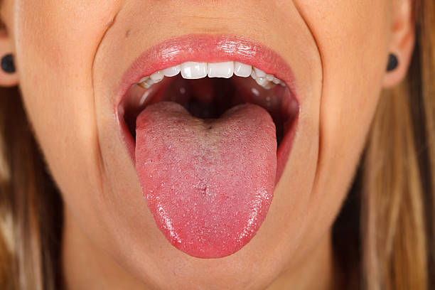 Woman's tongue Close up picture of a woman's tongue human tongue stock pictures, royalty-free photos & images