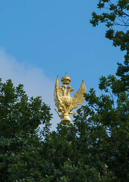 주 에르미타주 지붕에 있는 3머리 황금 독수리 - russian culture eagle russia gold 뉴스 사진 이미지