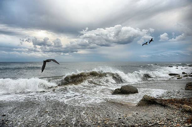 istock surf in cloudy weather at sea 626205308