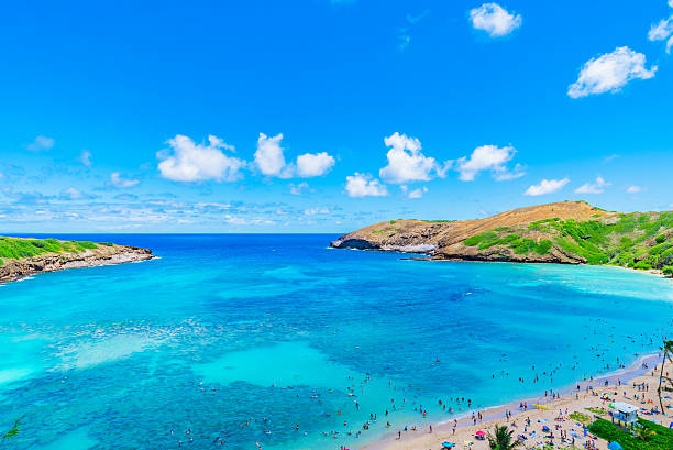 istock Enjoying Paradise in Hawaii at Hanauma Bay 626207554