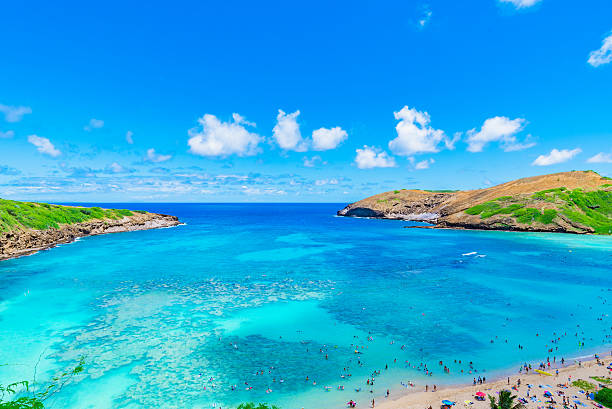 istock Enjoying Paradise in Hawaii at Hanauma Bay 626207666