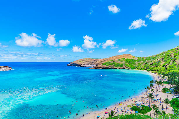 istock Enjoying Paradise in Hawaii at Hanauma Bay 626207754