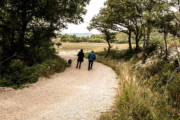 Friends walking with a dog