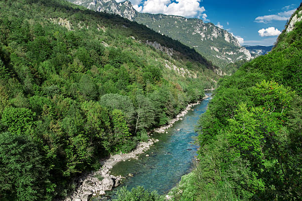istock Mountains green forest nature landscape, river canyon 626224018