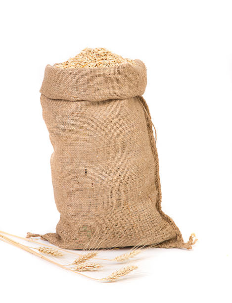 istock Burlap sack full of oat seed grain. 626229820