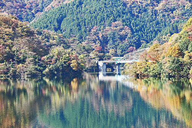 istock Lake Tanzawa and colored leaves 626230034