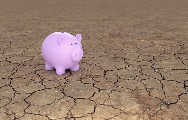 istock Piggy Bank 626231008