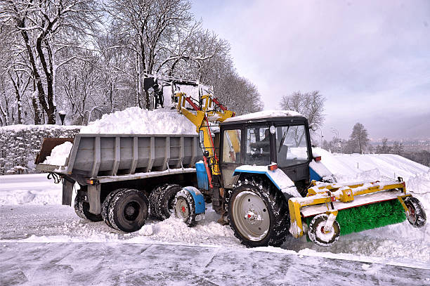 istock cleaning and snow loading on the truck 626231172
