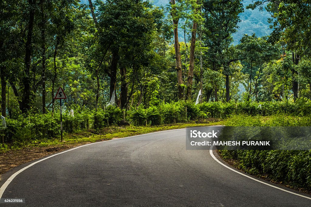 Roads In The Woods, Western Ghats, Karnataka, India Road Stock Photo