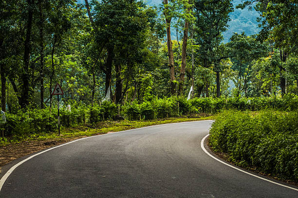 Roads In The Woods, Western Ghats, Karnataka, India Roads In The Woods, Western Ghats, Karnataka, India karnataka stock pictures, royalty-free photos & images