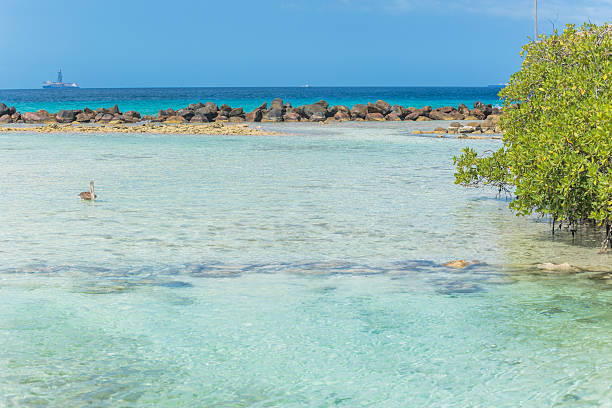 Flamingo beach at Aruba. Renaissance Aruba Private Island