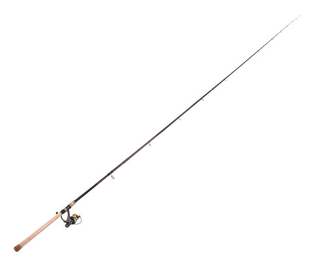 istock Carp feeder fishing rod 626232026