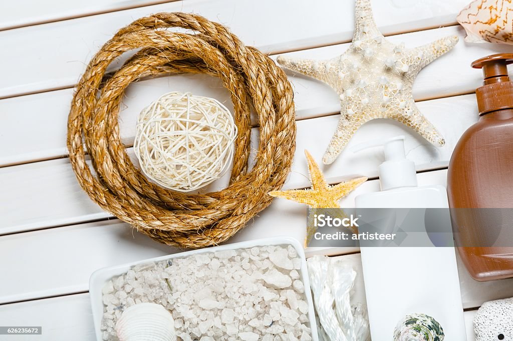 White Beach Finds on the White Background Animal Shell Stock Photo