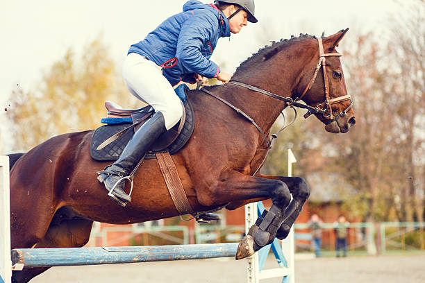 istock Young horseman on show jumping competition 626235810