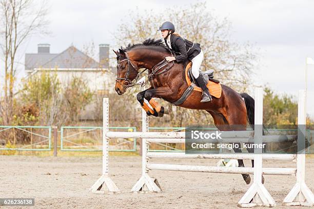 Photo libre de droit de Jeune Cavalière Sur Un Cheval De Baie Saute Pardessus Lobstacle banque d'images et plus d'images libres de droit de Cheval