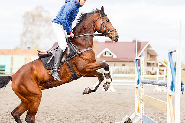 istock Young horseman on show jumping competition 626240738