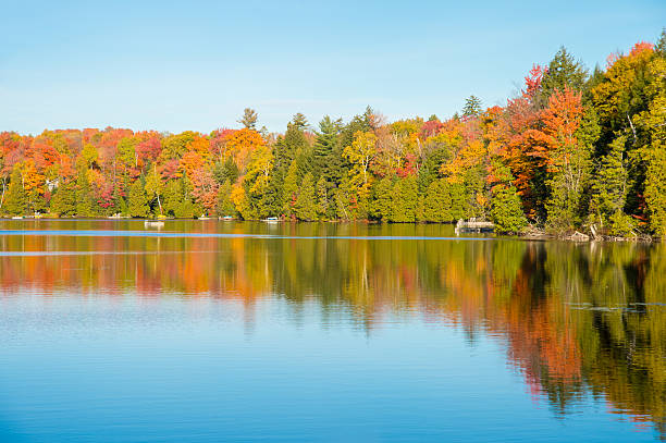 istock Autumn colors in Quebec, Canada 626241658
