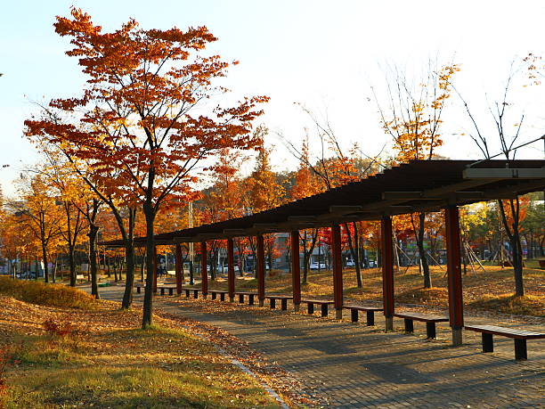 istock Beautiful Scenery of Late Autumn 626245410