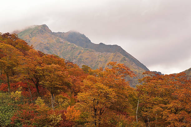 istock Autumn landscape with mountains and trees turning yellow 626254340