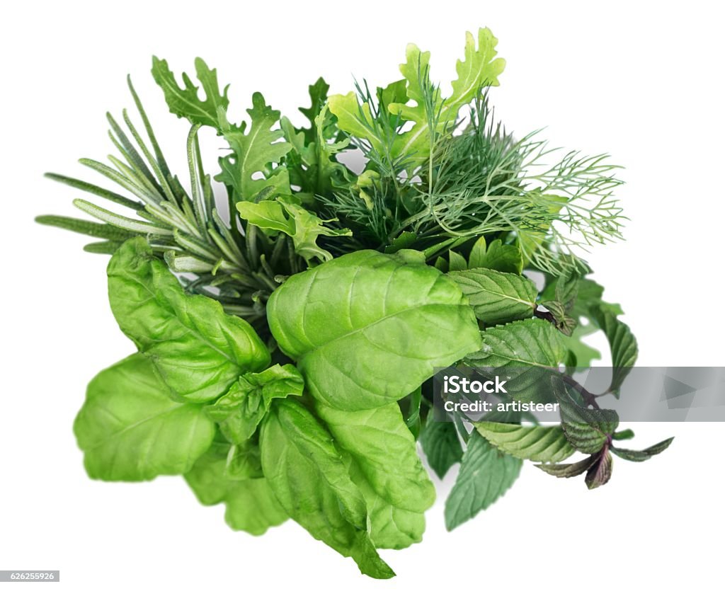 Herb Collection of fresh herbs Herbal Medicine Stock Photo