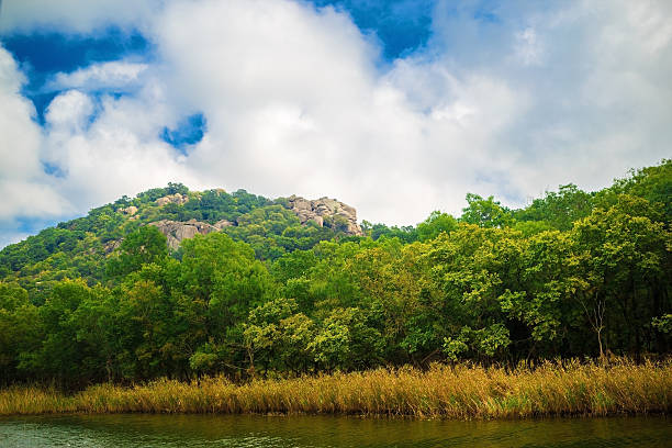 istock Green vegetation and mountains 626257320
