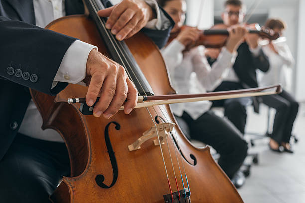istock Cello player's hands close up 626258612