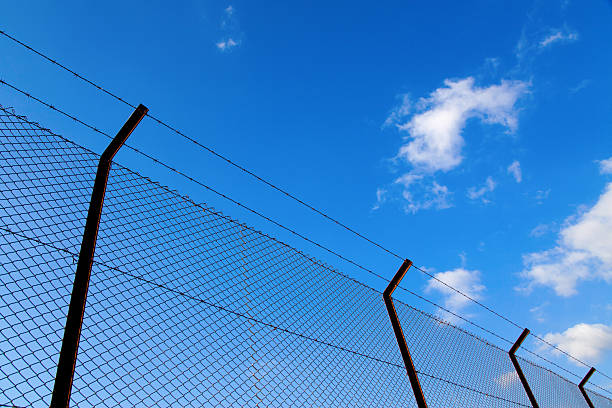 istock Wire fence with barbed wires 626259164