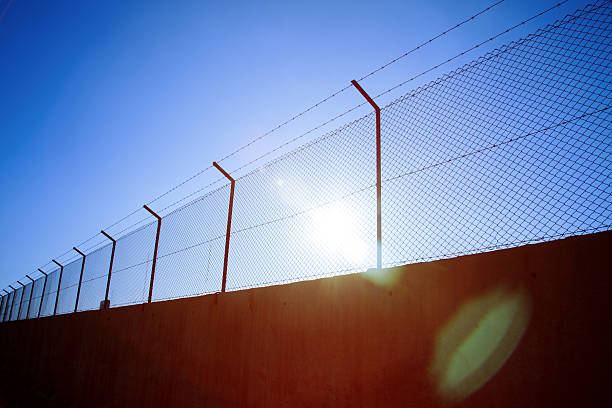 Wire fence with barbed wires