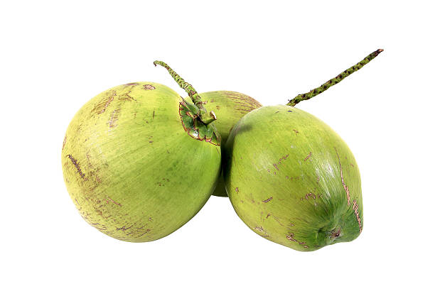 istock Fresh green coconut isolated on white background.Fresh coconut 626259908