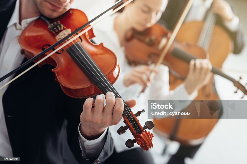 Orchestra string section performing Classical music symphony orchestra string section performing, male violinist playing on foreground, music and teamwork concept Orchestra Stock Photo