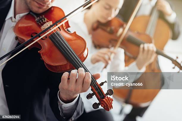 Orchestra String Section Performing Stock Photo - Download Image Now - Orchestra, Symphony Orchestra, Rehearsal