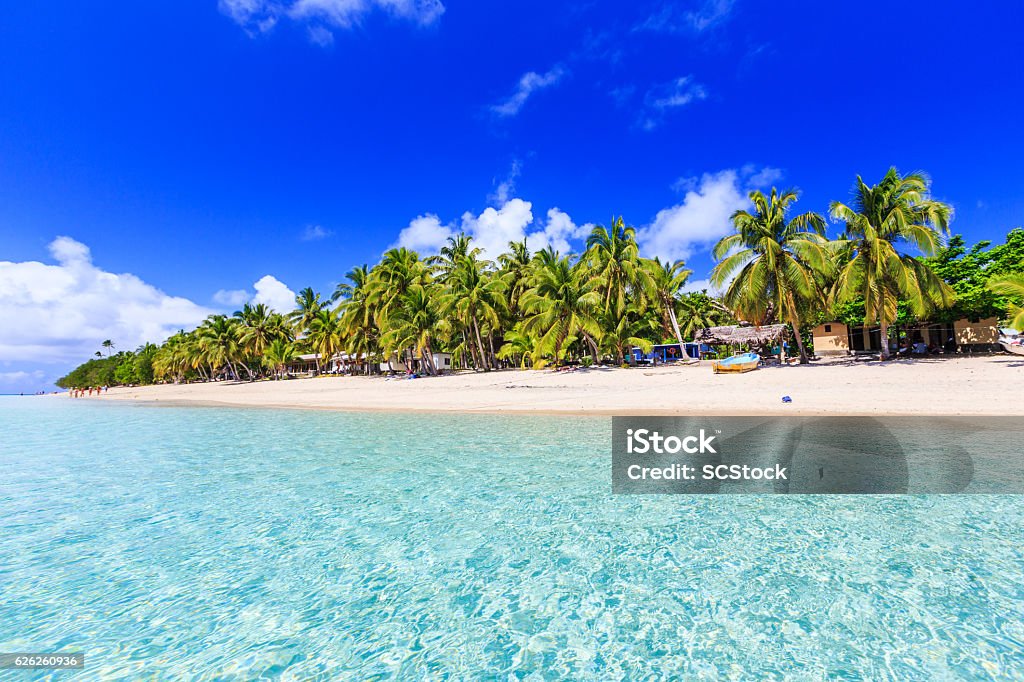 Dravuni Island, Fiji. Beach on a tropical island with clear blue water. Dravuni Island, Fiji. Fiji Stock Photo