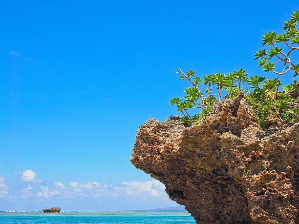 istock Kabira Bay Ishigaki Island, Japan 626261192