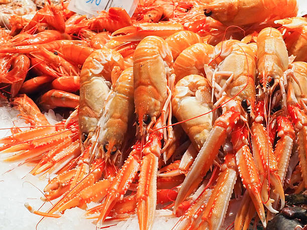 istock Fresh Shrimp in Spain market 626262052
