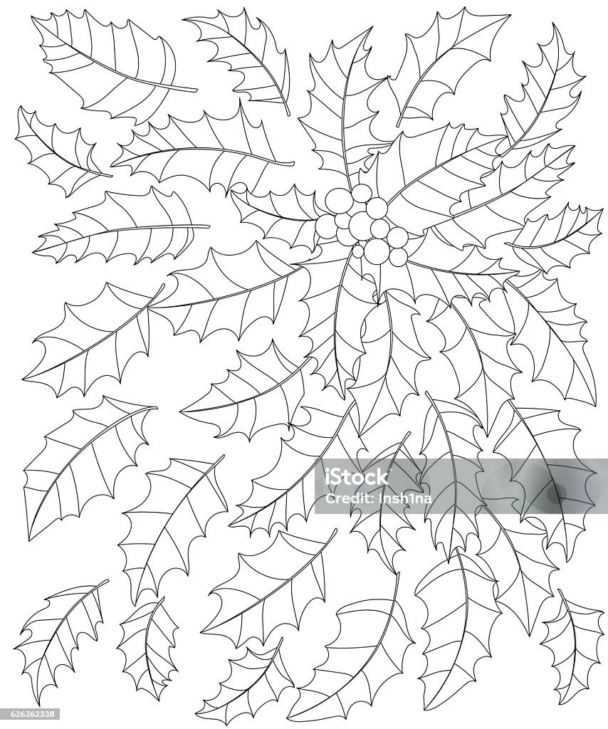 black and white vector illustration of holly leaves and berries black and white vector illustration of holly leaves and berries. Page coloring for adults, Abstract stock vector
